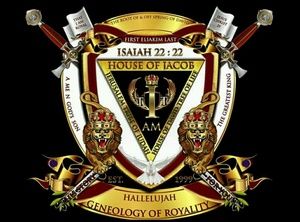 Meet your Posher, Bruce